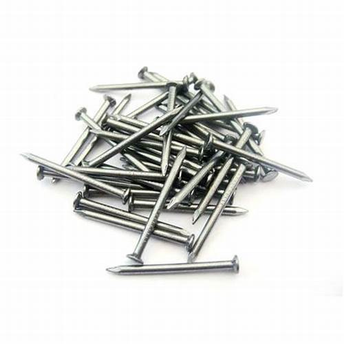 Durable Stainless Steel and Carbon Steel Nail Assortment