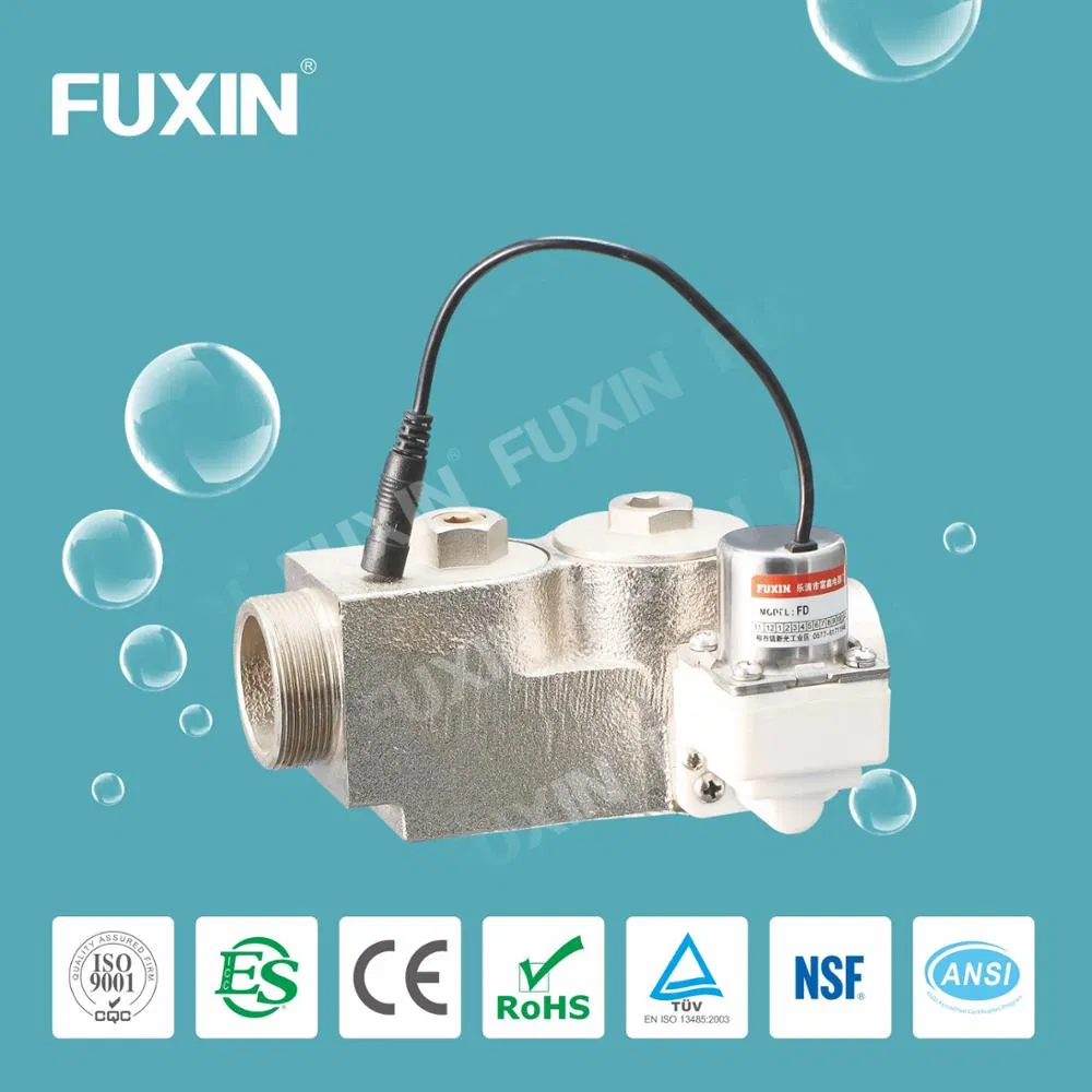 1 Inch Brass Female Thread DC 6V 12V Water Solenoid Valve for Public Restroom Automatic Flush