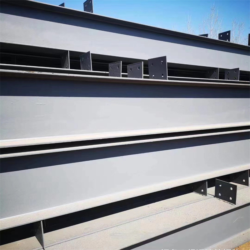 Seismic Resistance Professional Designing Steel Structure for Factory/Warehouse