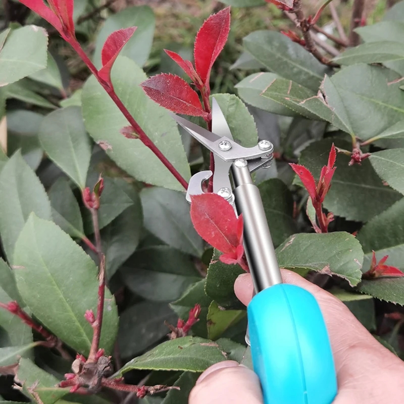 Garden Tools Secateurs Bonsai Shears Metal Gardening Scissor Pruning Tool Hand Cutter Fruit Picking Weed Gardening Hand Tools