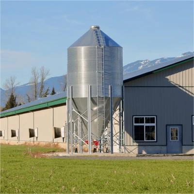 Premium Steel Chicken Coop with Built-in Equipment for Easy Maintenance