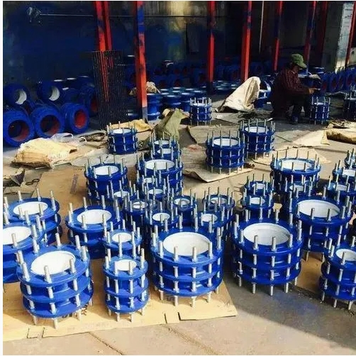 DN65-DN3200 Carbon Steel Cast Iron Double Flange Force Transfer Flexible Dismantling Joint