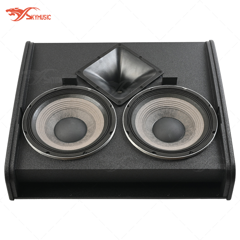 Professional Dual 12 Inch Stage Monitor Speaker for Musicians (Vtx M22)