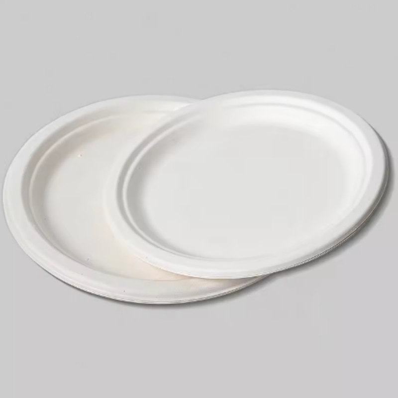 Zanbio Christmas Disposable Tableware Salad Plate