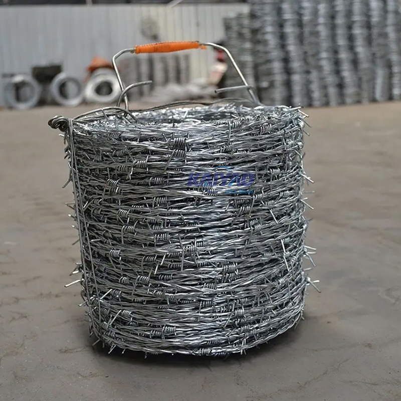 Factory Directly Supply Razor Blade Barbed Wire for Prison, Border & Farm
