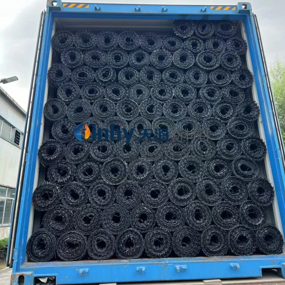 20/20kN 30/30kN Biaxial Plastic Geo Grid for Construct Mse Wall