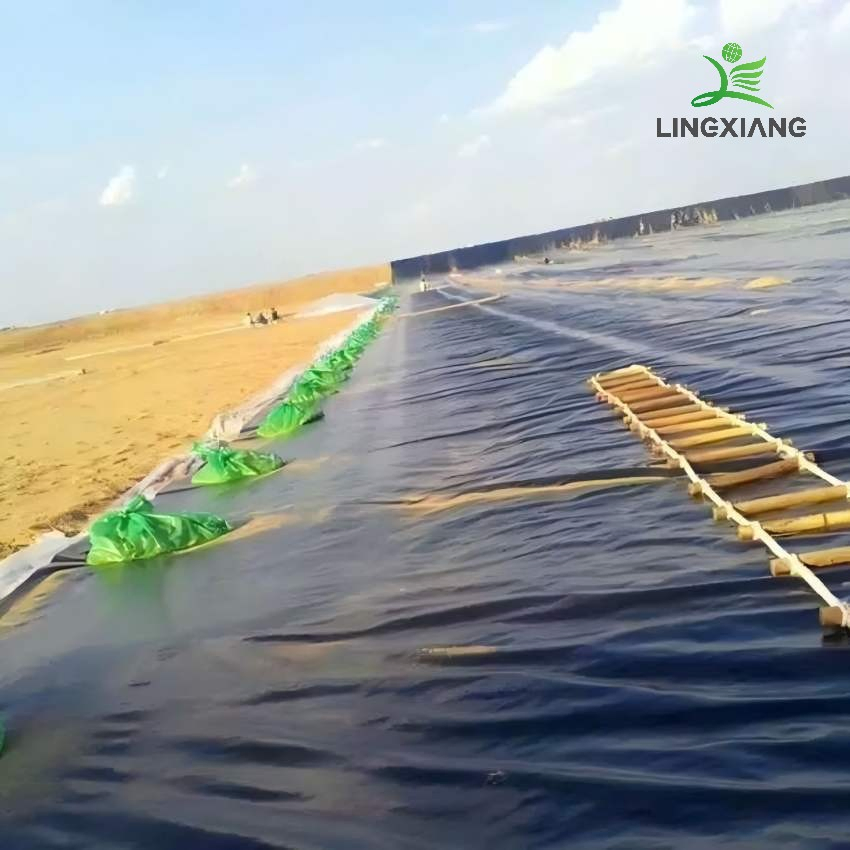 Durable Biogas Waste Geomembrane for Agricultural Pond Applications Dam Landfill Lake Biogas Mining Fish Shrimp Farm Pond Liner Swimming Pool Agricultural Agric