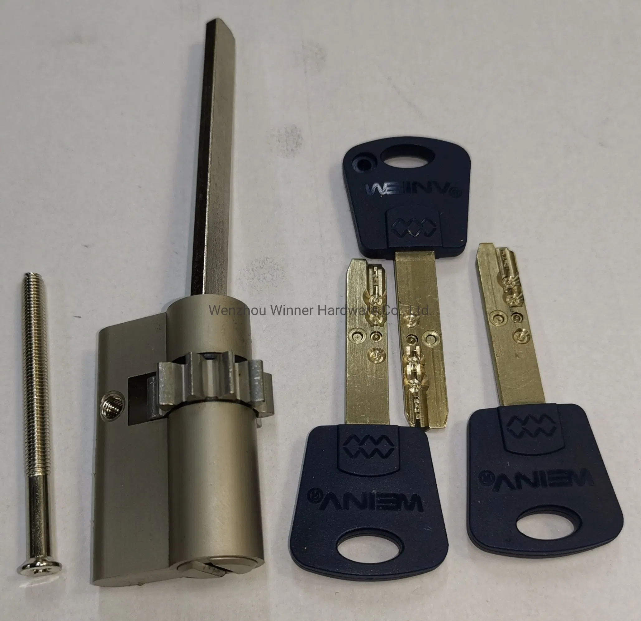 Multi-Point Smart Lock with Fingerprint Unlocking