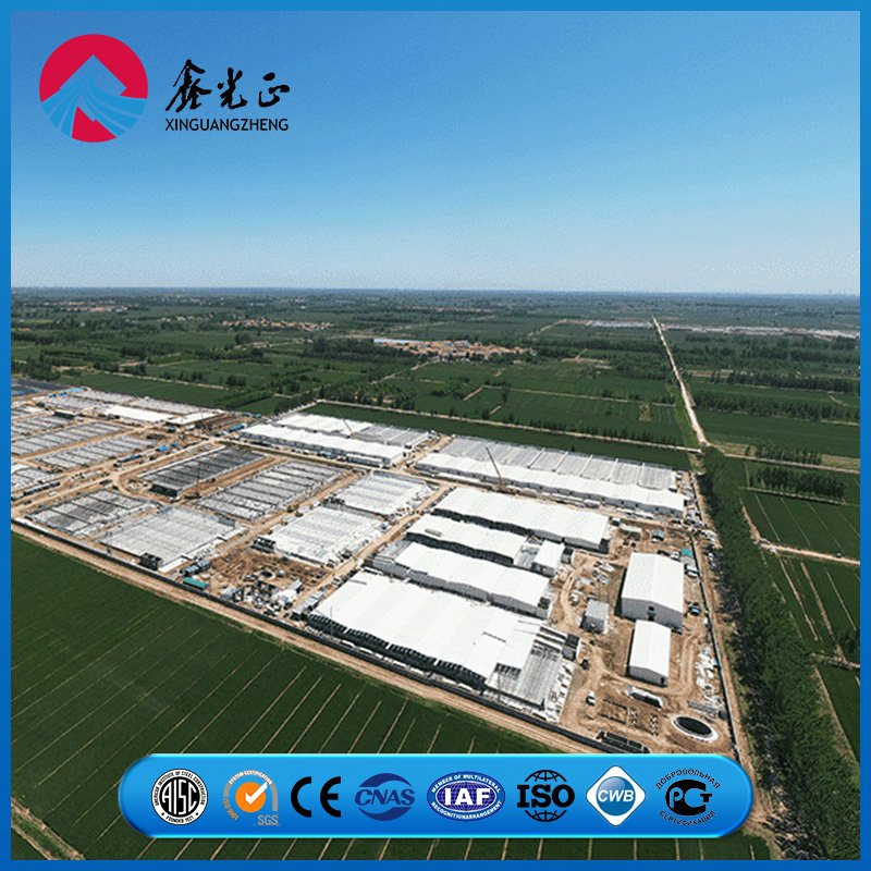 Reinforced Joint Steel Frame Assembly System Chicken Prefab Metal Storage Farming Equipment Steel Structure Sheep/Goat/Pig/Hog/Cattle/Cow/Poultry House/Shed