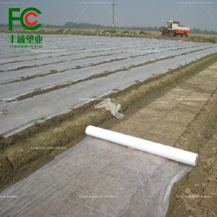 Versatile White Nonwoven Plant Cover for All Seasons