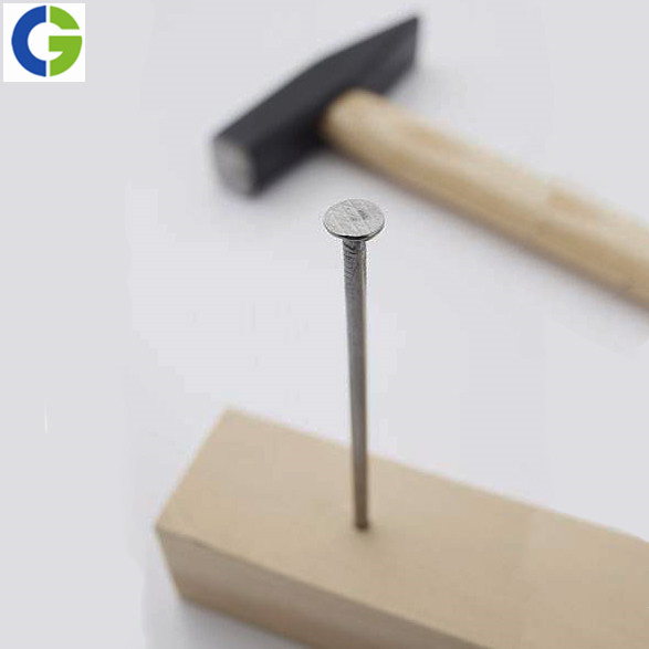 Polished Nail/Galvanized Common Iron Nail/ Wire Nail/Wooden Nail/Roofing Nail/Concrete Nail for Construction