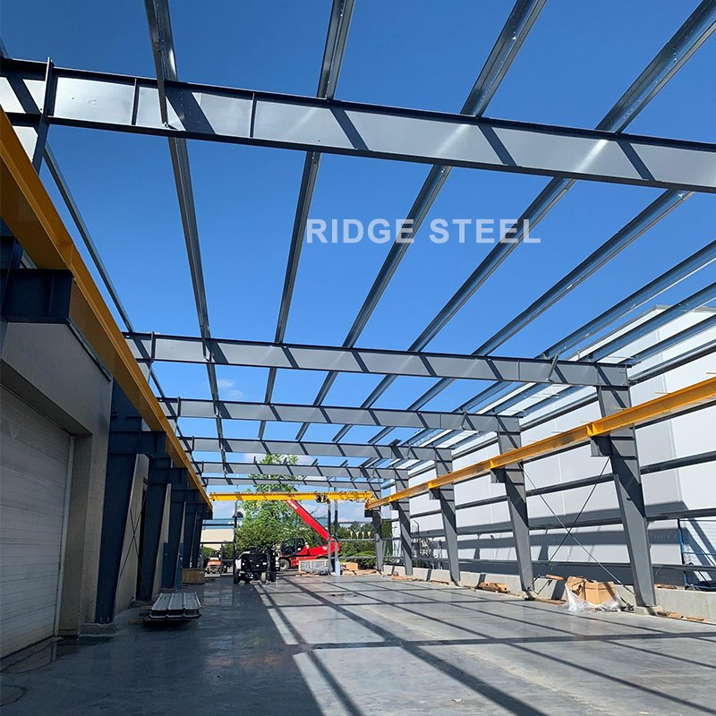 High Quality Steel Structure Prefab Building/Factory/Warehouse/Workshop/Godown/Shed