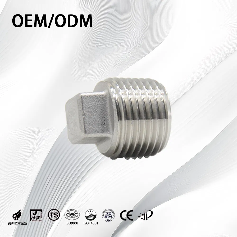 Stainless Steel Customize Threaded Pipe Fitting End Plug for Chemical Handling Pipe