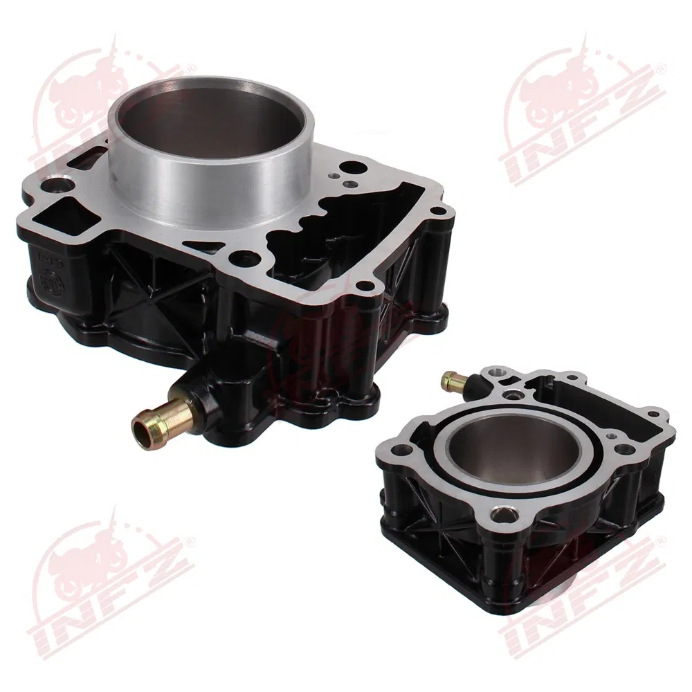 Infz Motorcycle Engine Block Cylinder Kit for Bajaj Pulsar 200NS, Discover 125, BM100, CT100