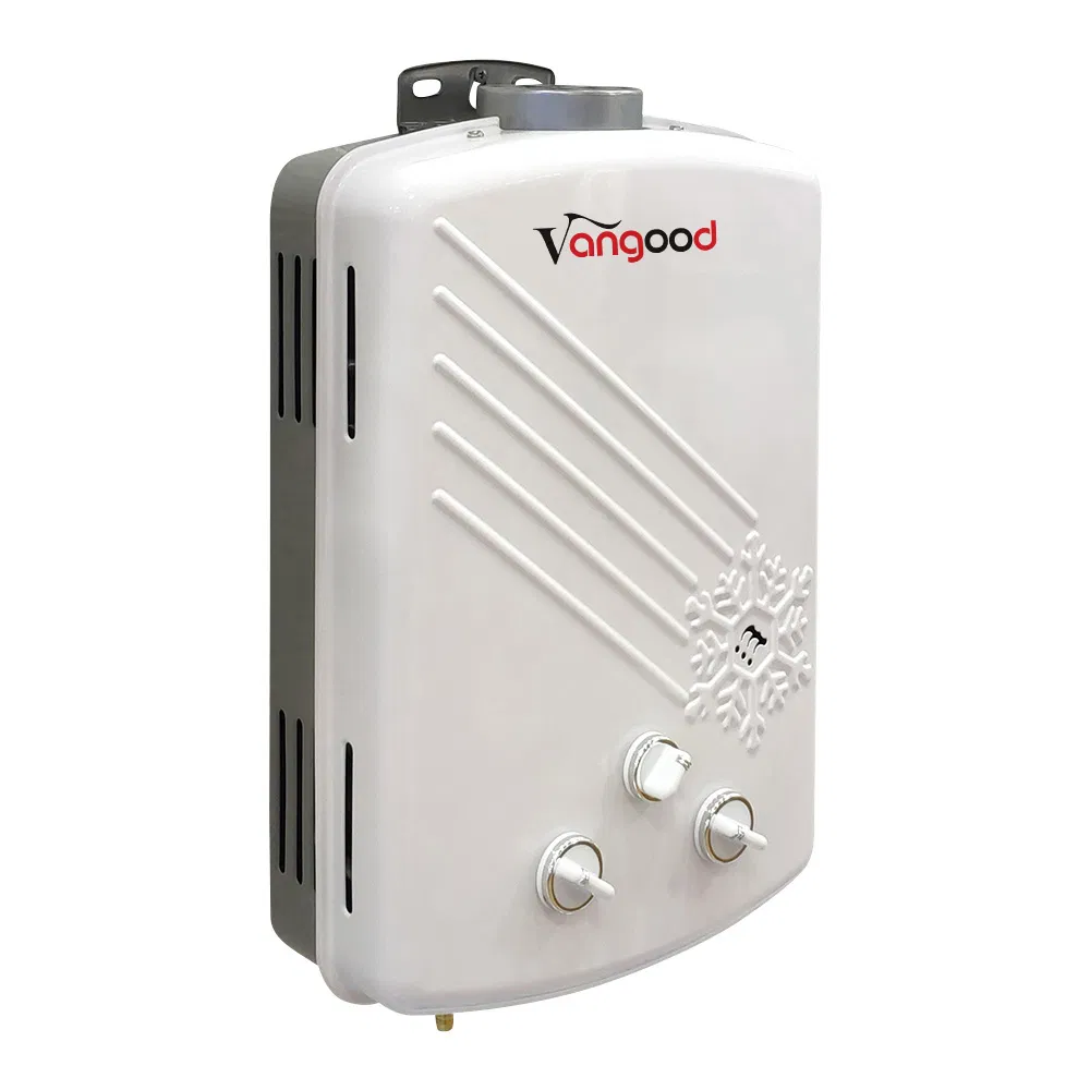 Golden Supplier Universal Mini Portable Caravan Tankless Gas Water Heater 110V