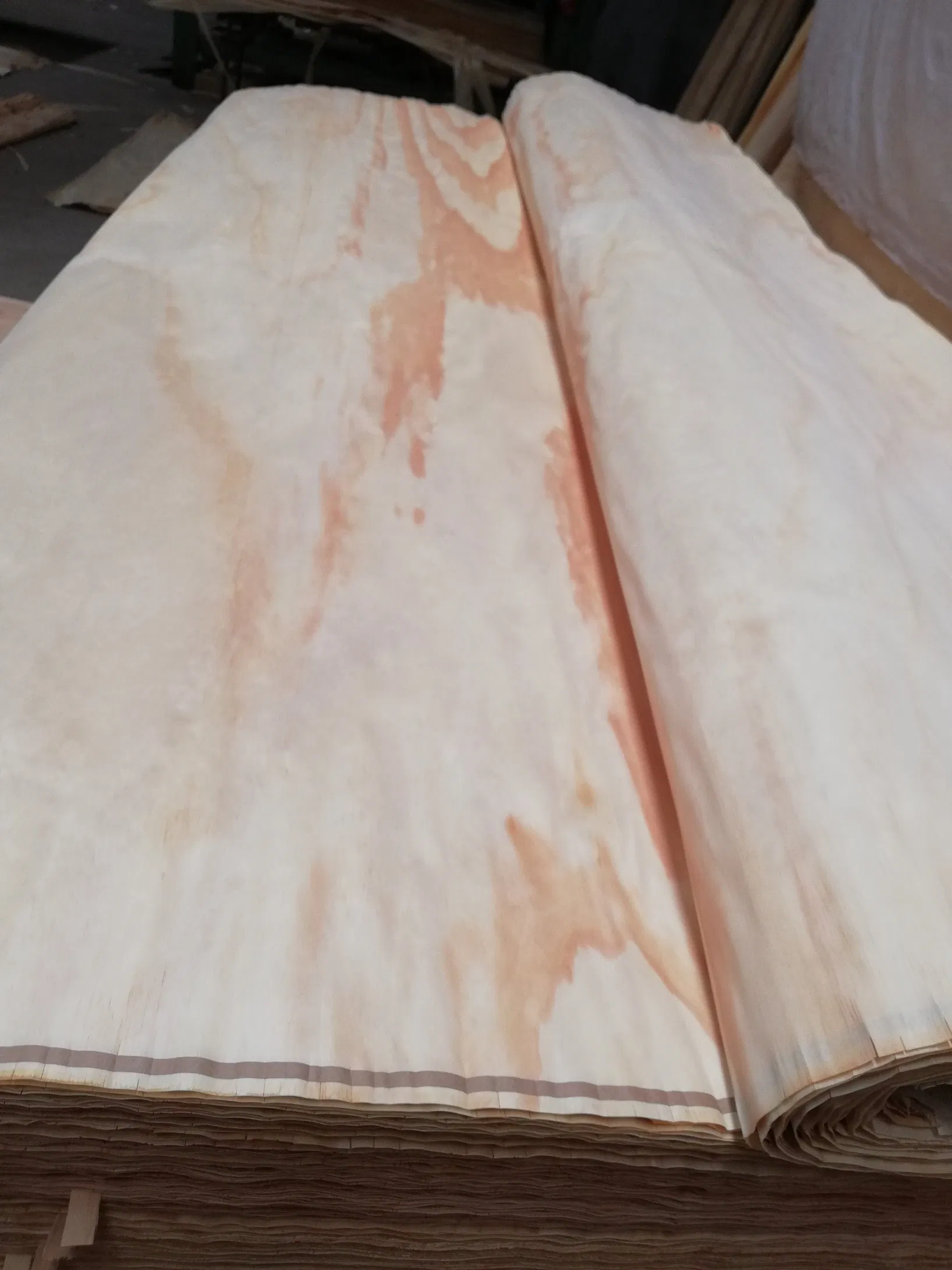 Natural Rotary Cut 0.5mm Thickness Pine Wood Face Veneer