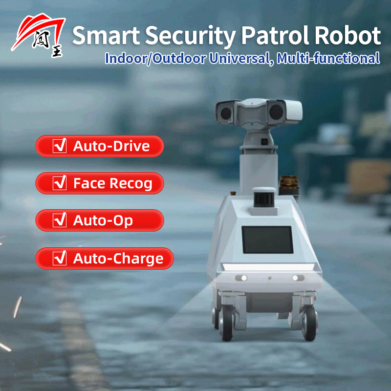 Safety Patrol Robot: Intelligent Monitoring in Crowded Public Zones