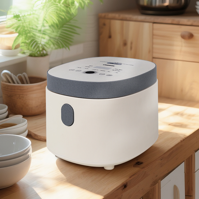 PP Rice Cooker with Multifunction Electric Rice Soup Steam All in One