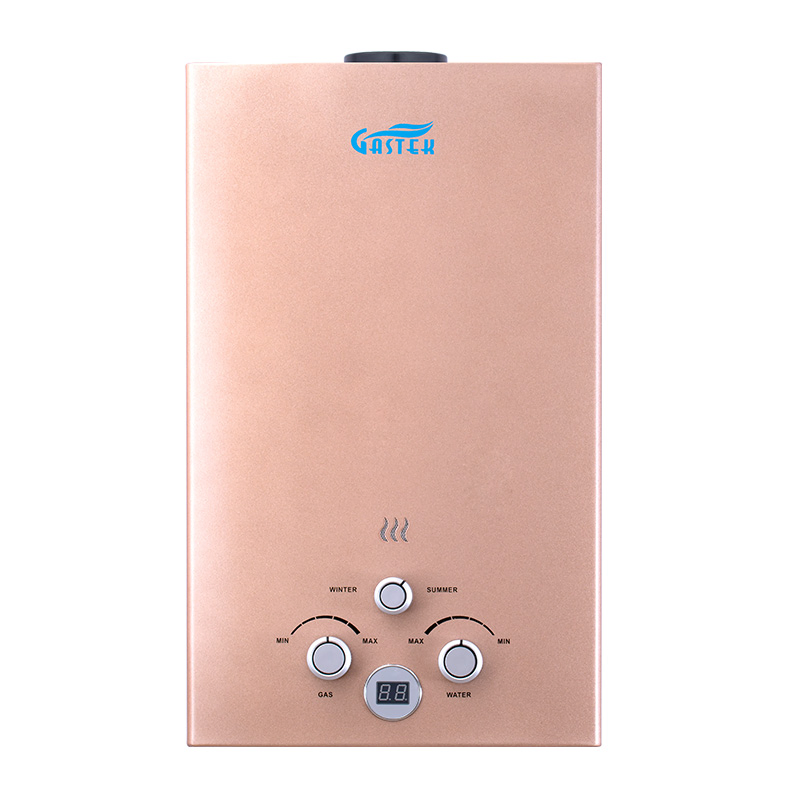 Instant Tankless Gas Water Heater with 12L LPG or Natural Gas