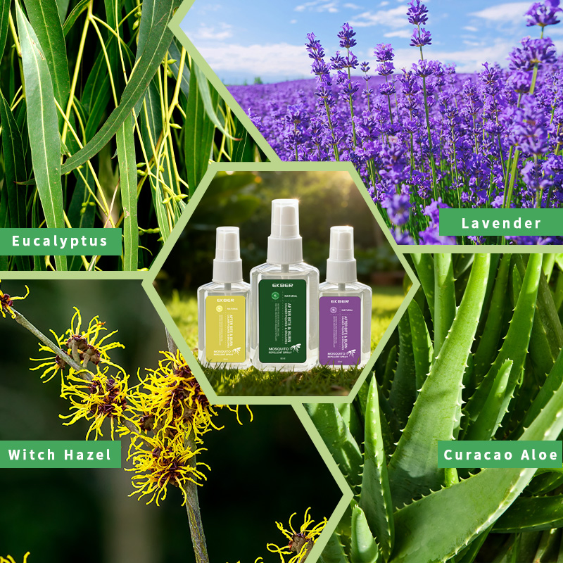 Wholesale Refreshing Camping Sports Mint Anti-Itching Floral Water Relieve Red and Swollen Skin Anti Mosquito Repellent Spray