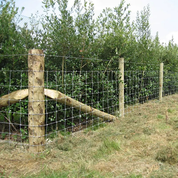 High Tensile Farm /Field /Cattle /Galvanized Filed Farm Fence/ Joint Wire Fence/Goat and Sheep Farm Fence/Grassland Fence