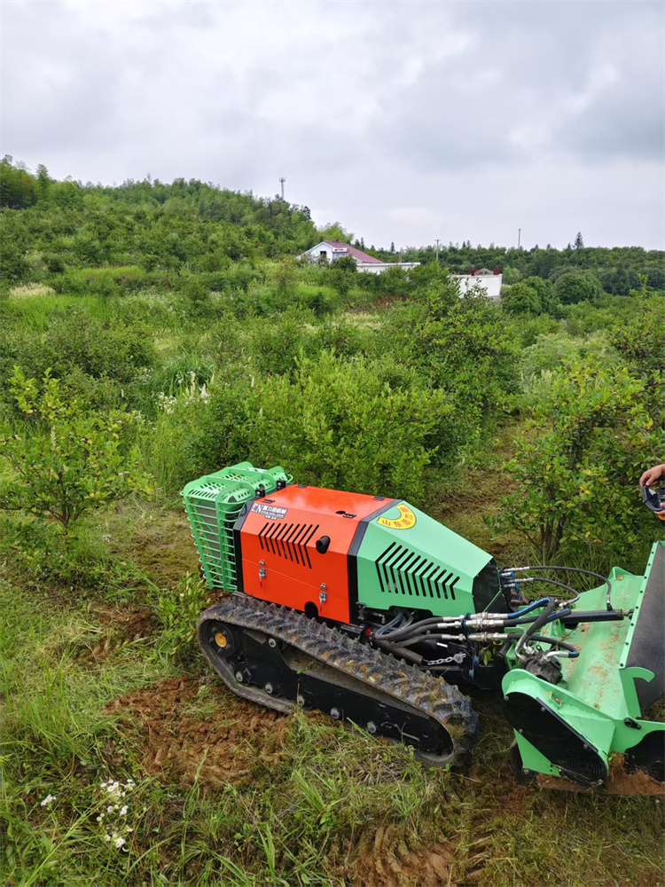Heavy Duty Mulcher Pioneer Machine Lawn Mower Robot Remote Control Mountain Weed Shrub Crusher