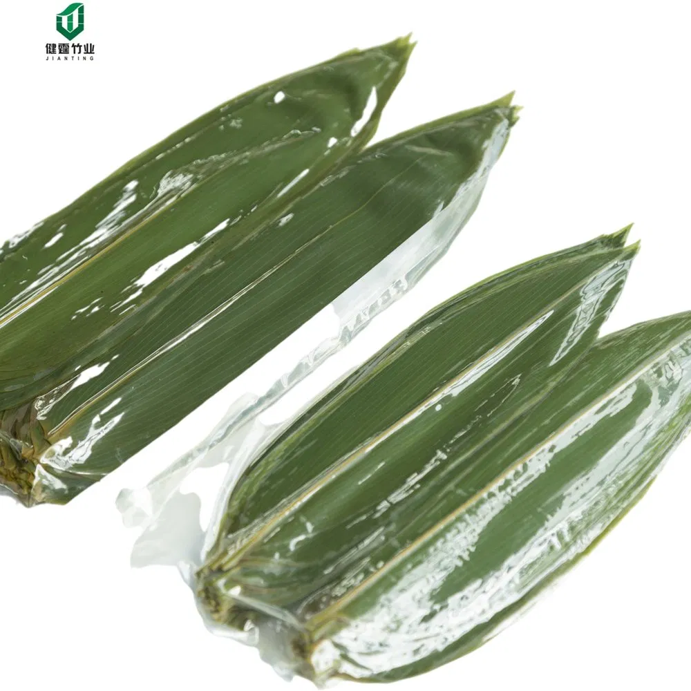 Vacuum Packed Fresh Green Bamboo Sushi Leaves