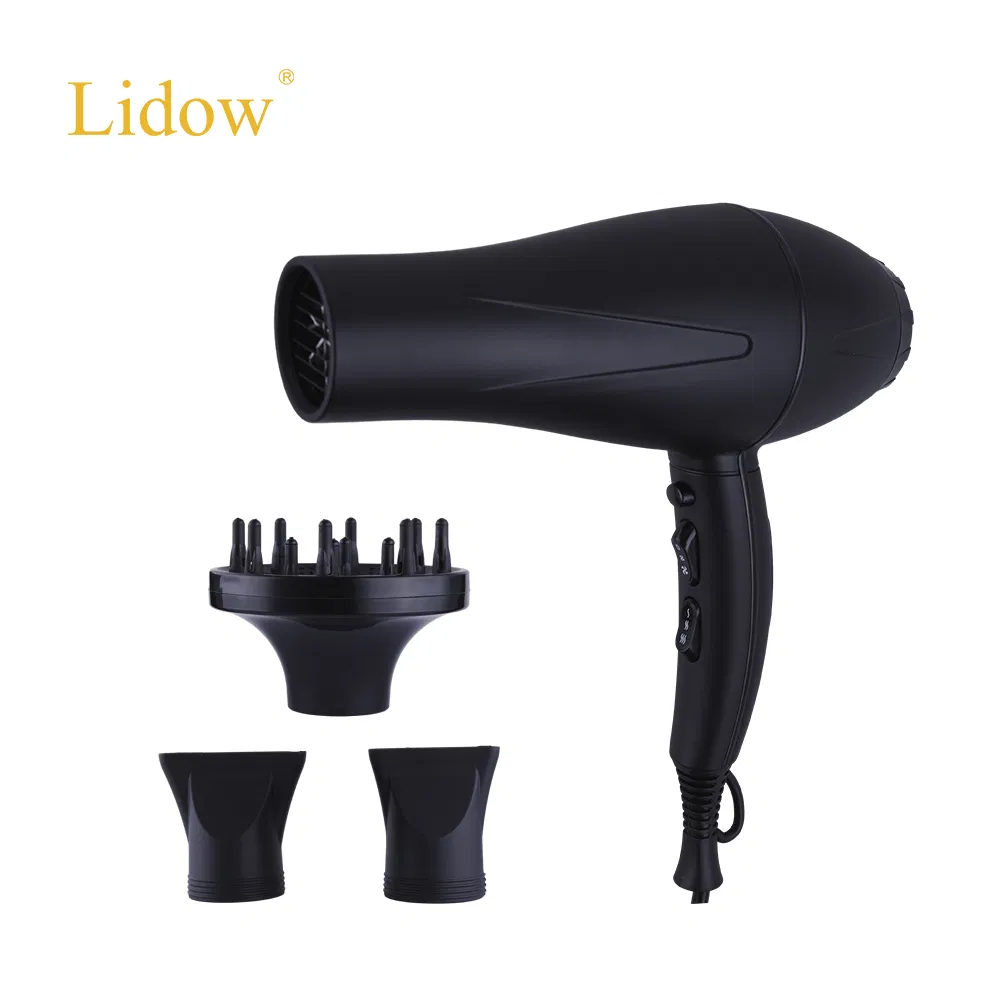 AC Motor Professional Blow Dryer Secadora De Cabello Strong Power Salon Hair Dryer