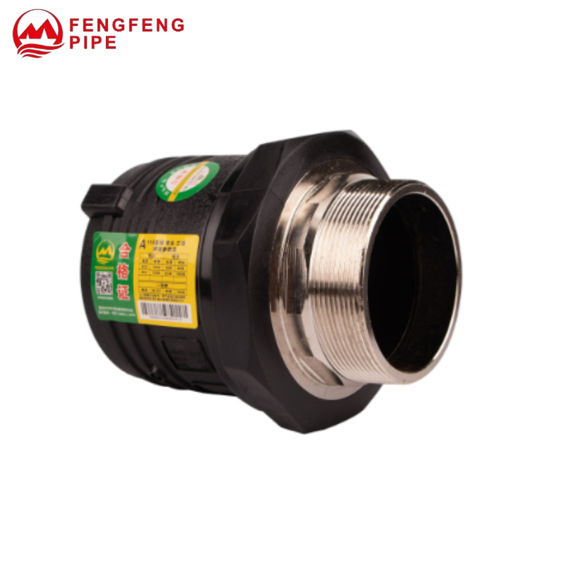 HDPE Pipe Fitting Electrofusion Fitting Electrofusion Female Thread Coupler 110mm