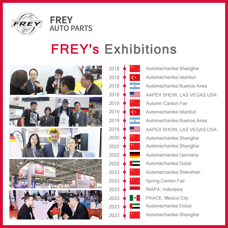Эксцентриковый вал FREY 11377630747