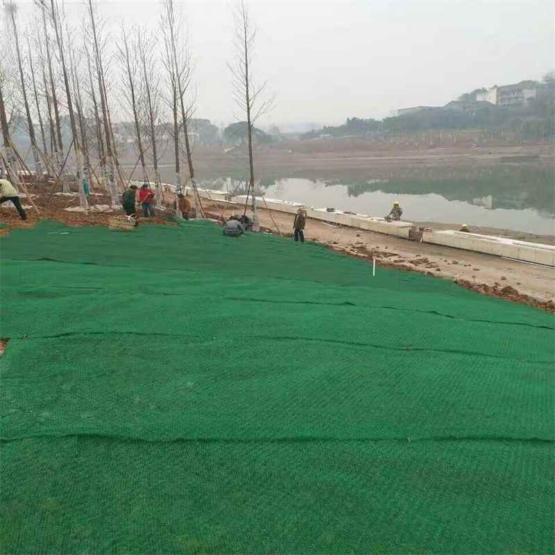 Three Dimensional Geonet Composite Protective Layer for Slope Protection and Landscape Greening
