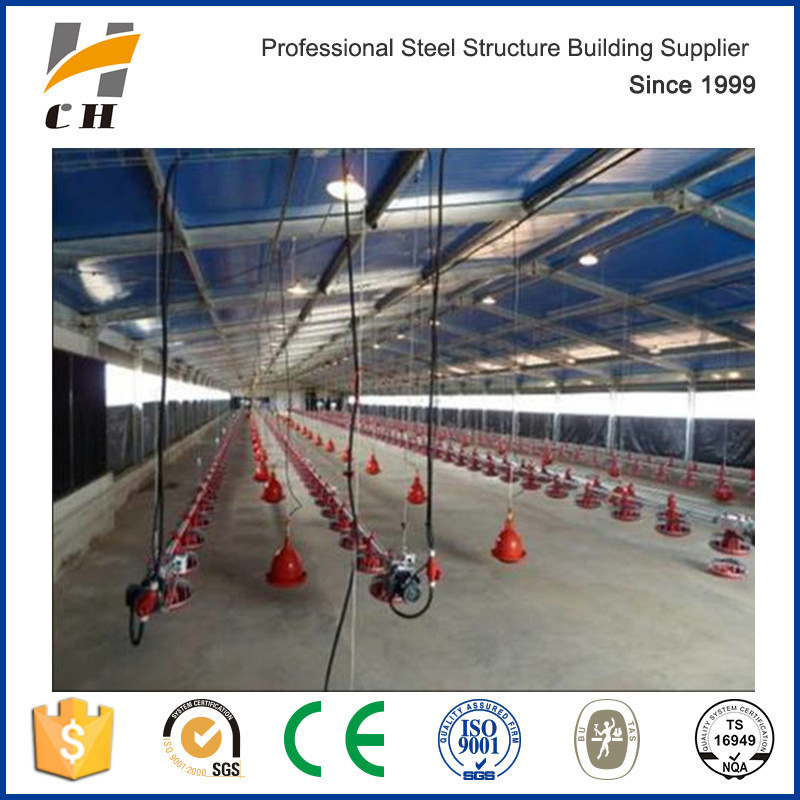 Professional Prefabricated Low Cost Chicken Shelter