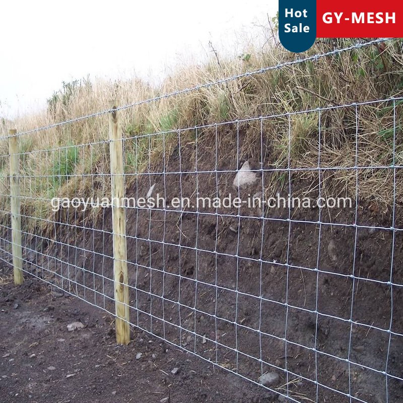 High Quality Field Fence and Fence T Post Application