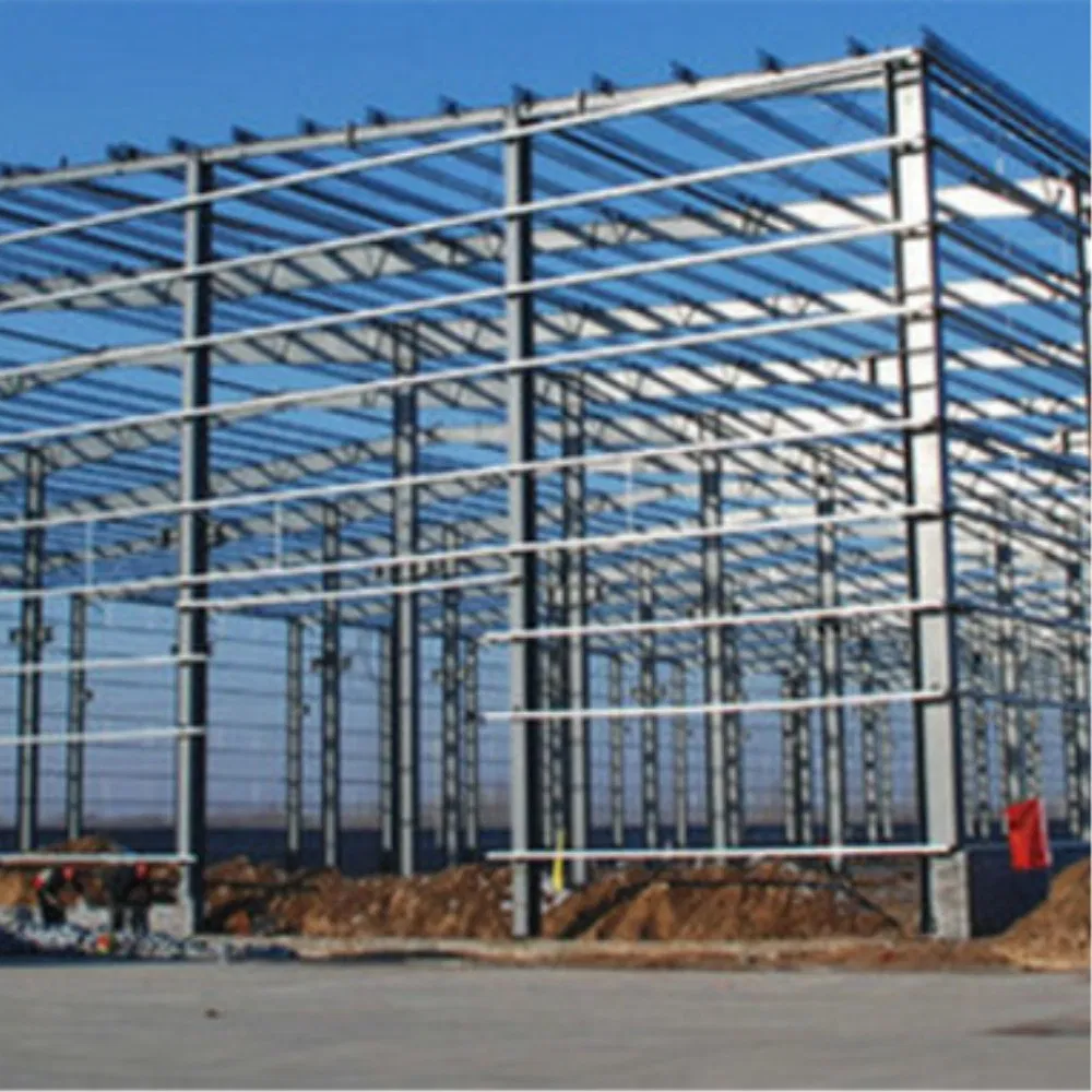 Professional Design Prefabricated Steel Shed Construction Building