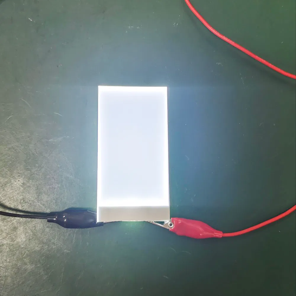 Custom Size Monochrome Acrylic Board Display Module LED Backlight for Multiple Uses