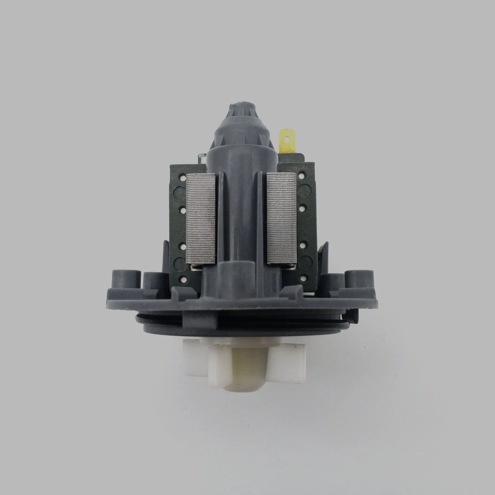 Ruijp High Quality 220V Washing Machine Drain Pump Washing Machine Motor