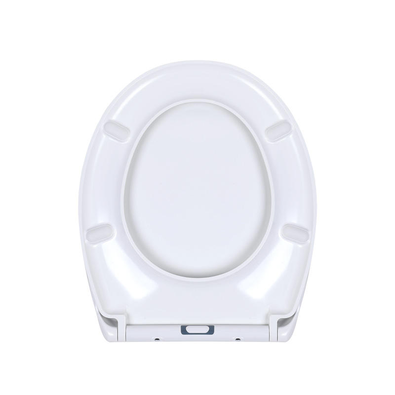 UF Plastic Slow Down Toilet Seat High Performance at Low, Duroplasts Toilet Lid