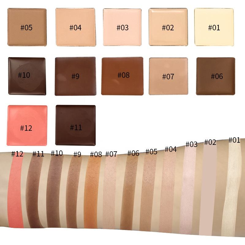 High Quality Contouring Gel Custom 6 Colors Concealer