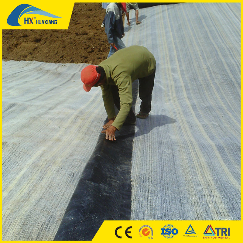 Bentonite Composite Waterproof Blanket Geosynthetic Clay Liner Bentonite Blanket Gcl for Landfill