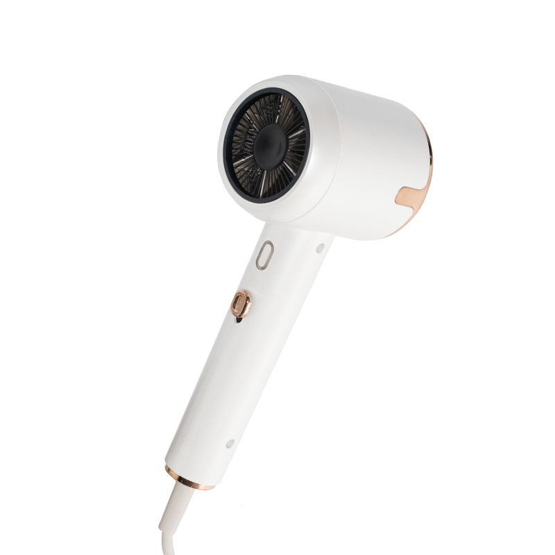 Personalizable Quick Drying Hair Dryer with CE Certification
