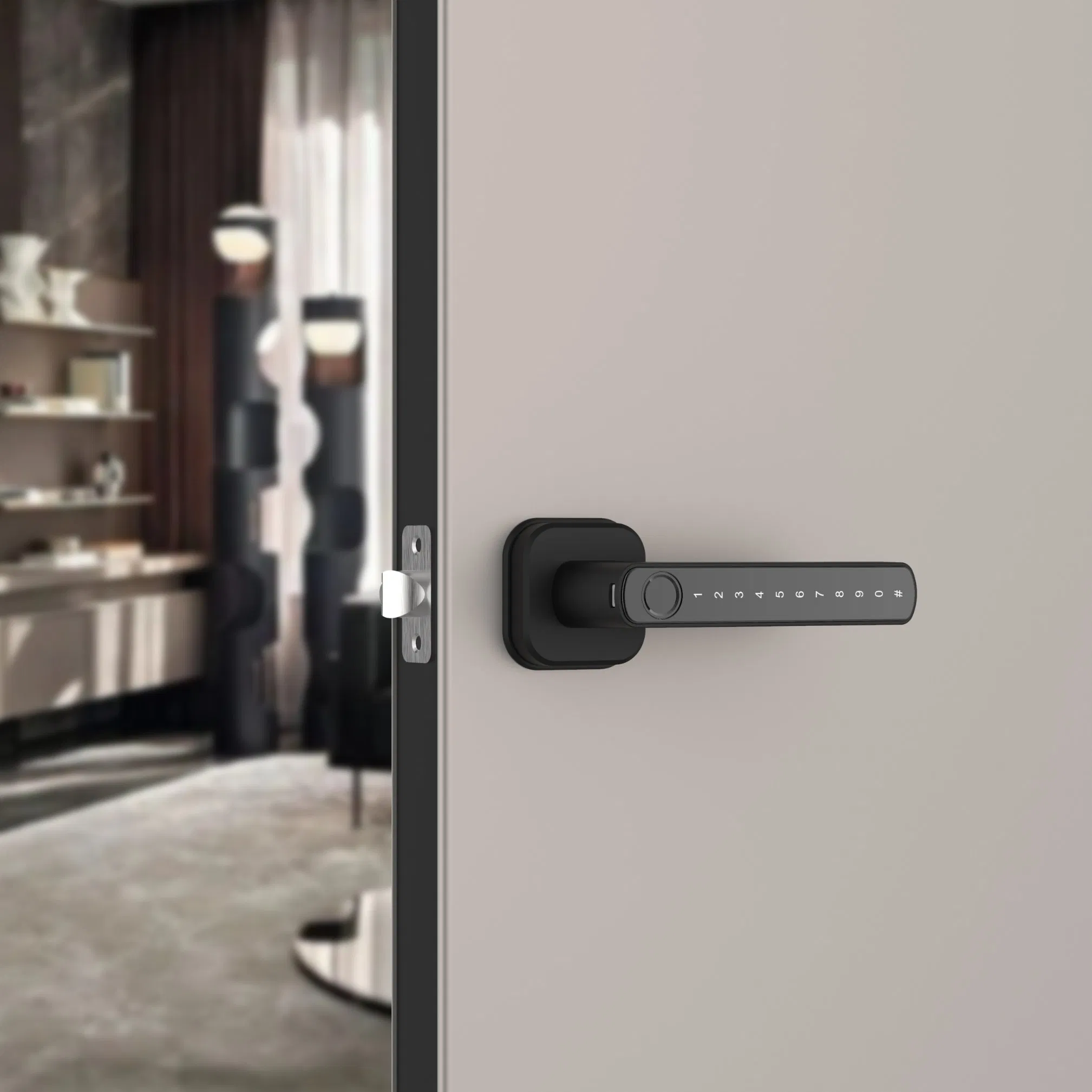 Smart Lock with Camera HD Video Motion Detection