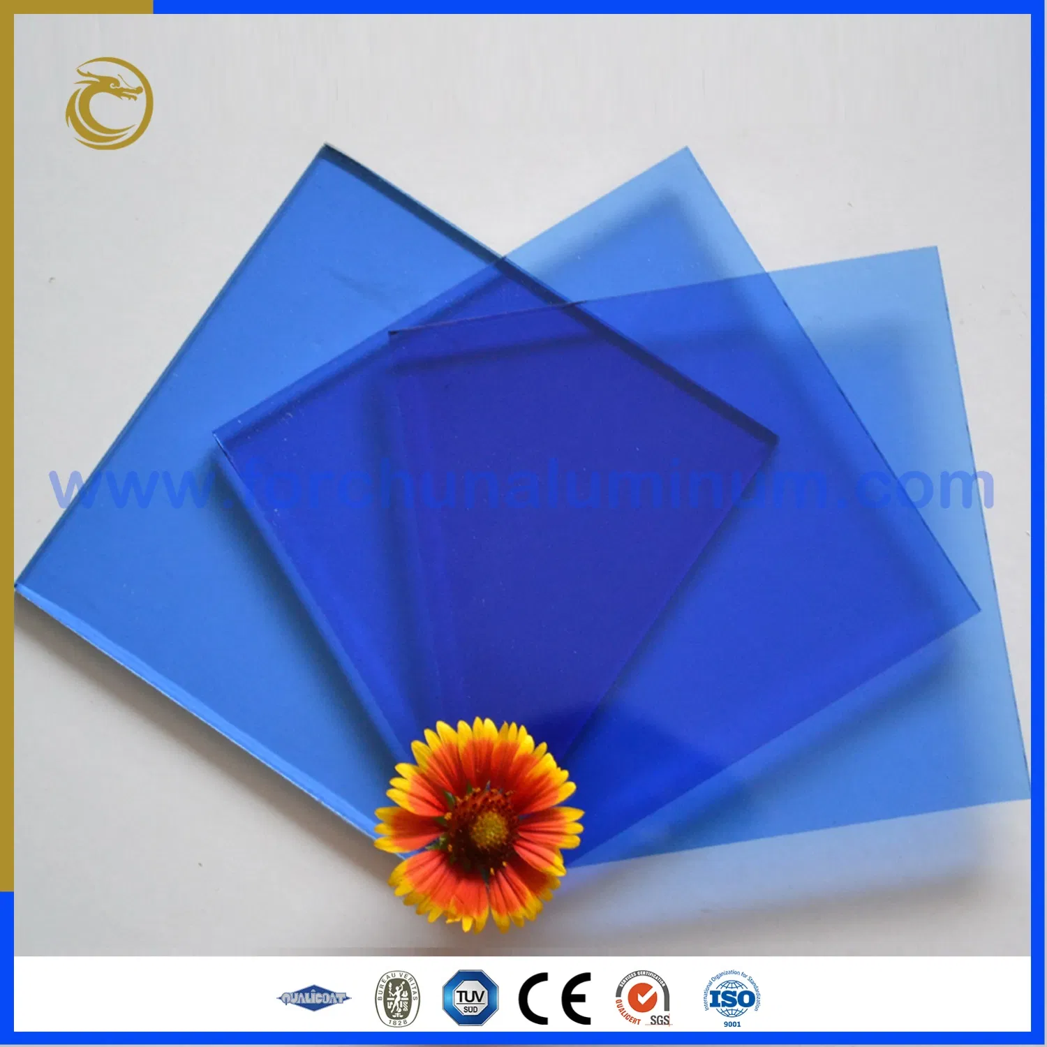 China Factory 4mm 5mm and 6mm Dark Black Tinted Glass for Building Windows and Doors