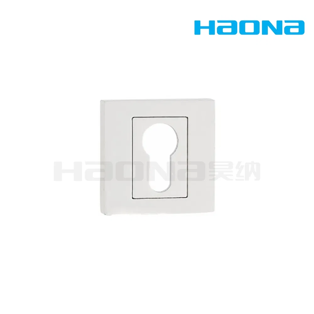 Zinc Alloy or Aluminum Square Rose Matt Black Escutcheon with Cylinder Key Hole