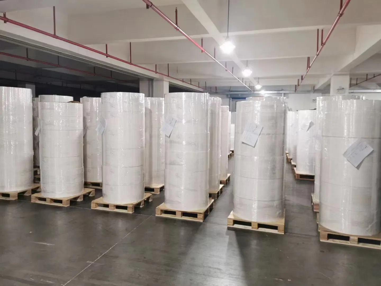 Custom Printed Logo Waterproof Self Adhesive Thermal Packing Colorful Label