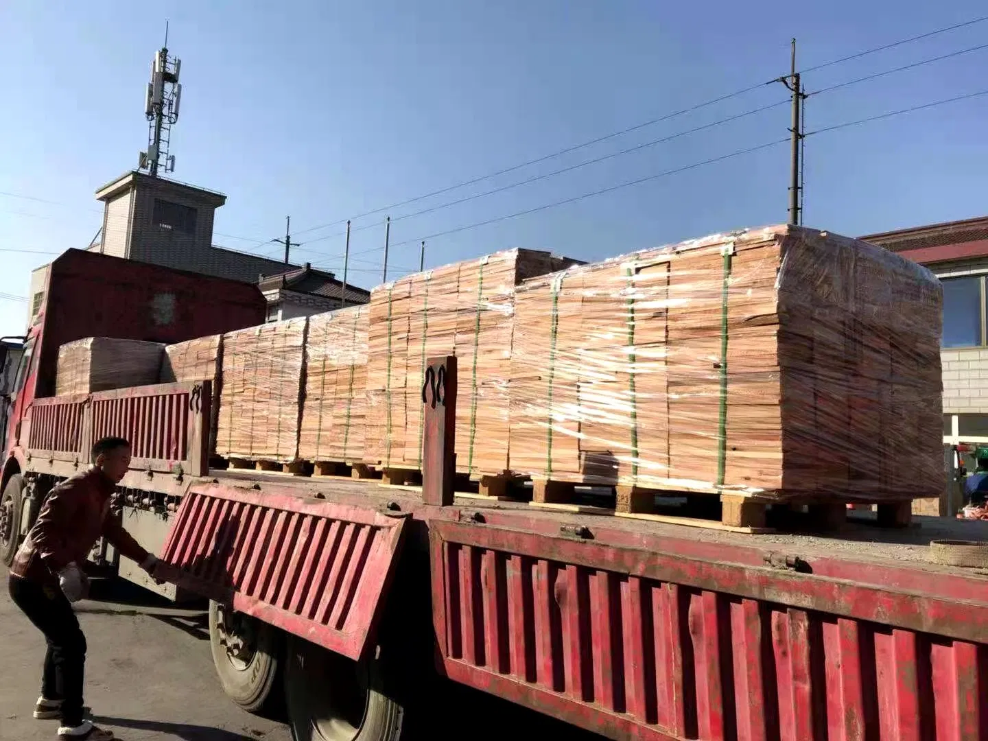 Chinese Big Sport Games Project Cedar Roof Tiles