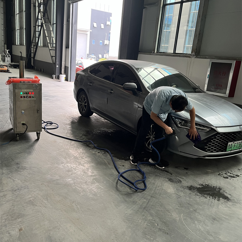 Gas-Heated Steam Cleaning Machine Dry-Wet Adjustable