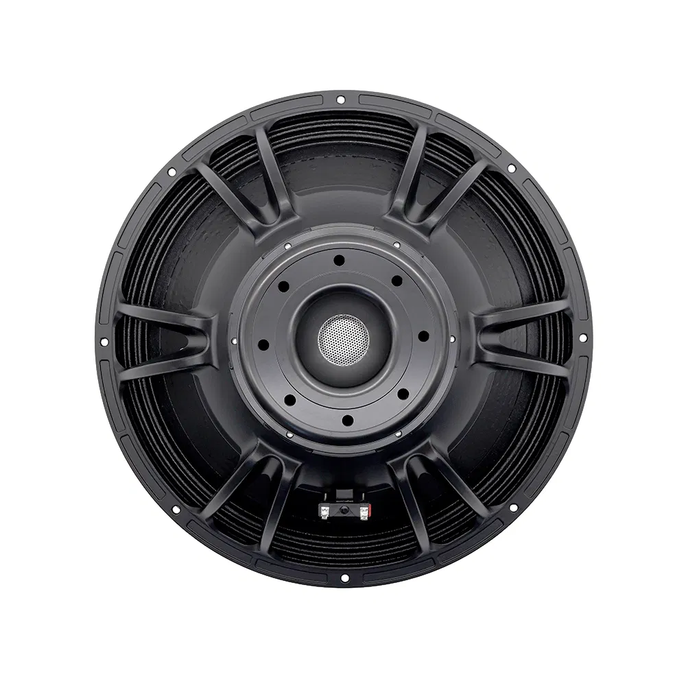 PRO-Audio Speaker 21 Inch Subwoofer PA Sound System Stage Sub OEM