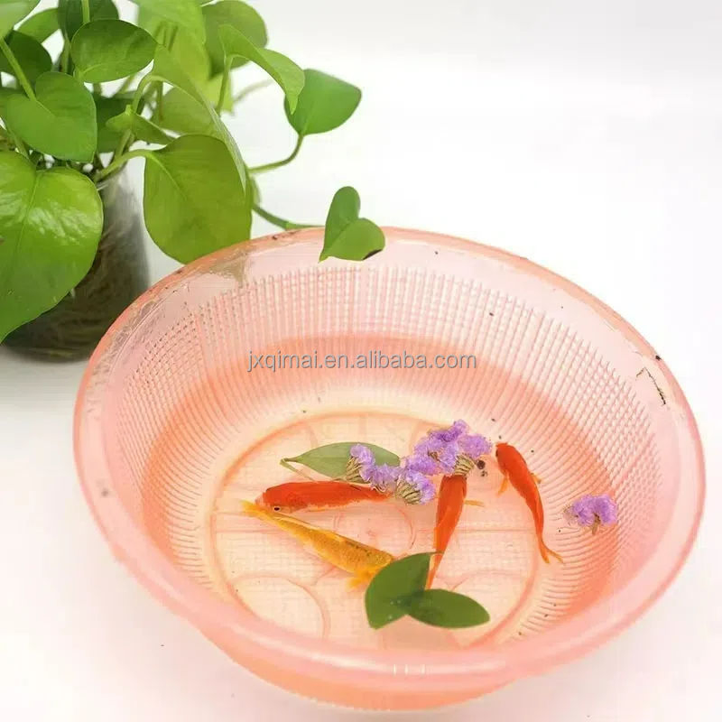 Factory Price Best Transparent Waterproof Glue for Exterior Walls Tiles Window Sills Roof Leakage