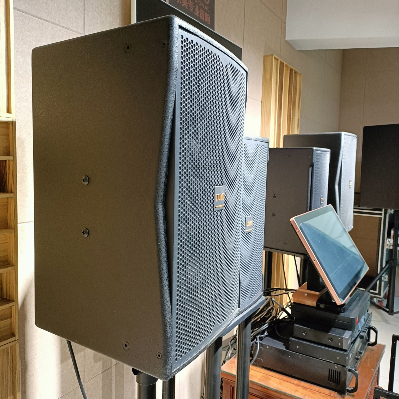 Superior Sound 15-Inch Speaker with 99dB Sensitivity by Domc K215