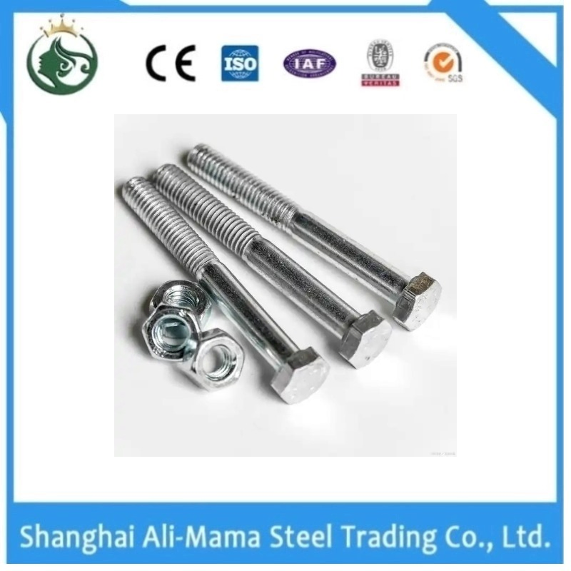 40crmo Alloy Steel Bolts and Gasket Construction Fastener Structural Material Stainless Steel Nut